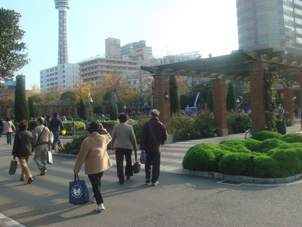 DSC08164.JPG