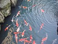 DSC07913.JPG