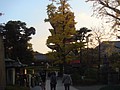 DSC07914.JPG
