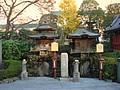 DSC07915.JPG