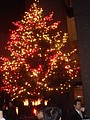 DSC07920.JPG