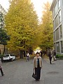 DSC07950.JPG