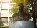 DSC07952.JPG