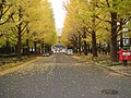 DSC07956.JPG