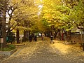 DSC07957.JPG