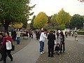 DSC07974.JPG
