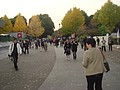 DSC07975.JPG
