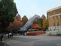 DSC07982.JPG