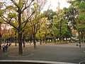 DSC07983.JPG