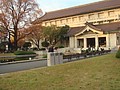 DSC07990.JPG