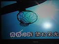 DSC08085.JPG