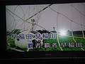 DSC08087.JPG