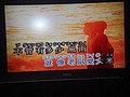 DSC08091.JPG