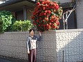 DSC08109.JPG