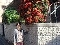 DSC08110.JPG