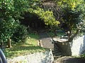 DSC08133.JPG