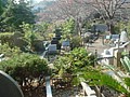 DSC08134.JPG