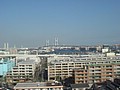DSC08135.JPG