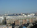 DSC08136.JPG