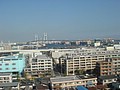 DSC08138.JPG