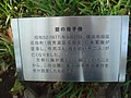 DSC08144.JPG