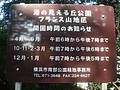 DSC08145.JPG