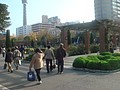 DSC08164.JPG