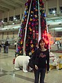 DSC08237.JPG