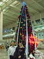 DSC08238.JPG