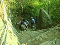 DSC08270.JPG