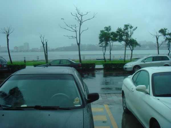 DSC08438.JPG