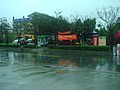 DSC08429.JPG