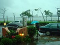 DSC08436.JPG