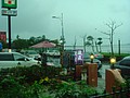 DSC08437.JPG