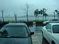 DSC08438.JPG