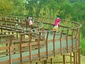 DSC08530.JPG