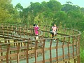 DSC08531.JPG