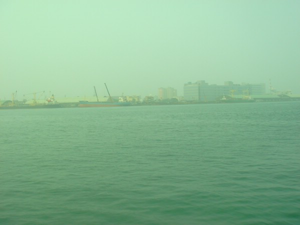DSC08558.JPG