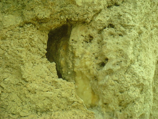 DSC08620.JPG