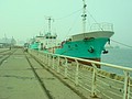 DSC08561.JPG