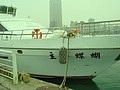 DSC08572.JPG