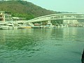 DSC08592.JPG