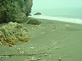 DSC08621.JPG
