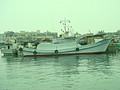 DSC08632.JPG