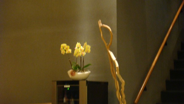 DSC00493.JPG