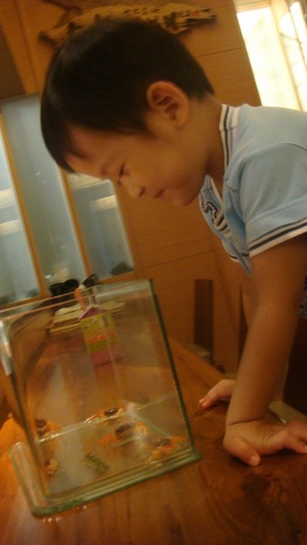 DSC00522.JPG