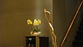 DSC00493.JPG