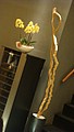 DSC00497.JPG
