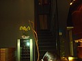 DSC08713.JPG
