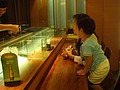 DSC08724.JPG